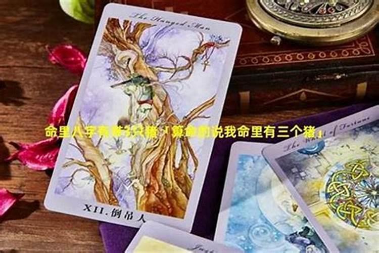 生辰八字带三只狗什么命？