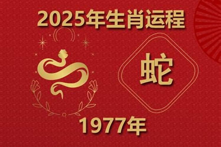 1977年生属蛇人2026年运势如何？