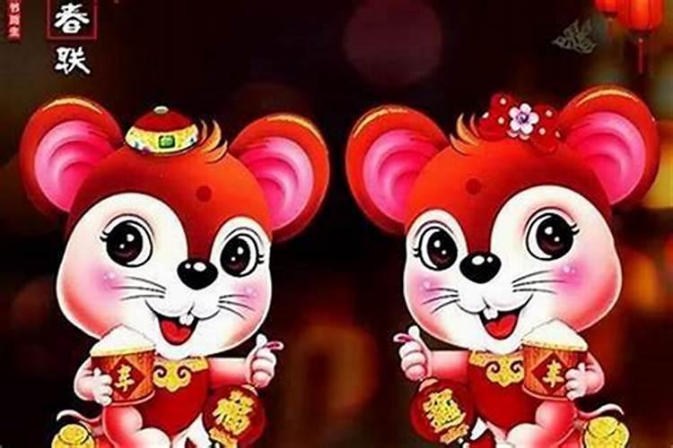 都是属猪的合婚吗？