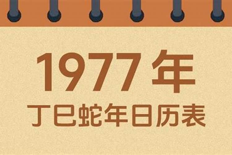 1977年农历5月初6出生运程