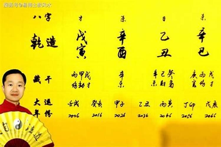 庚辰和辛巳八字合吗？