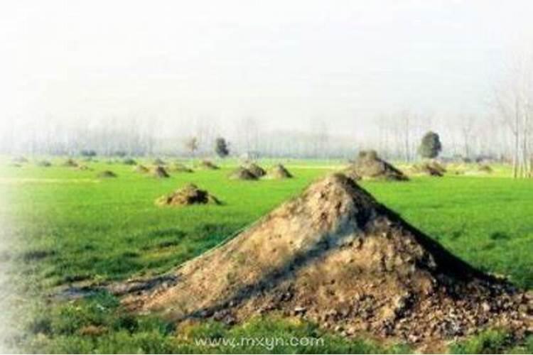 梦见掘坟有什么预兆？