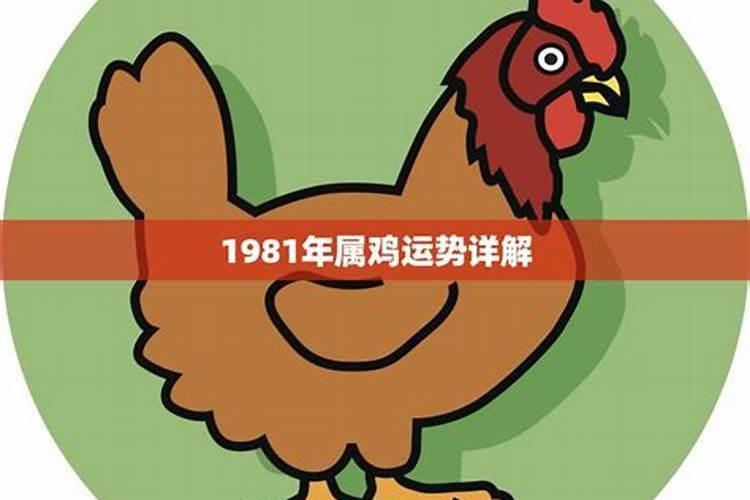 1981年下半年属鸡运势