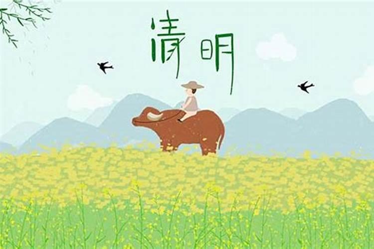 清明的物候特征和风俗特征