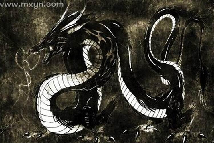 梦见黑龙预示什么预兆？