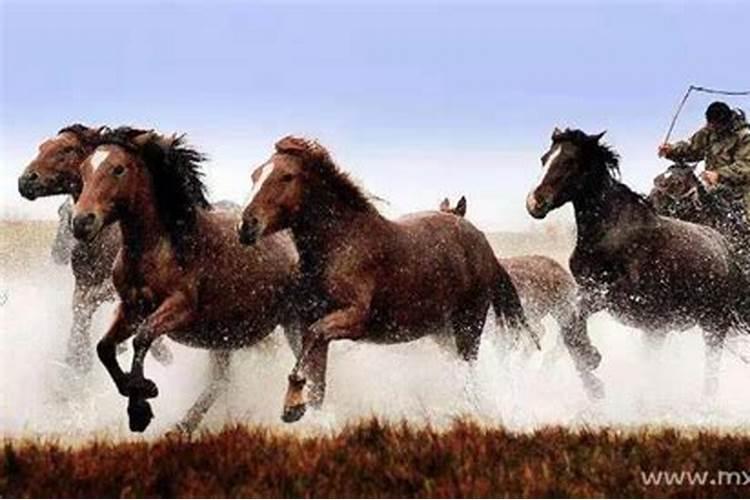 梦见马跑了找不到是什么意思？