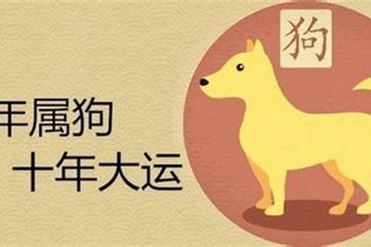 属狗今年十二月运势