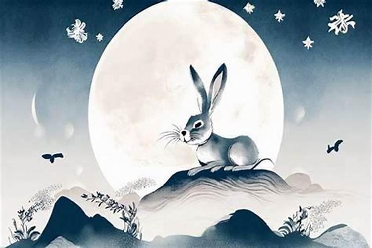 禹兔女2026年运势