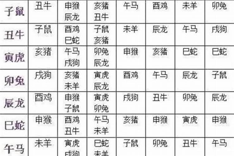 八字合婚算命吗？