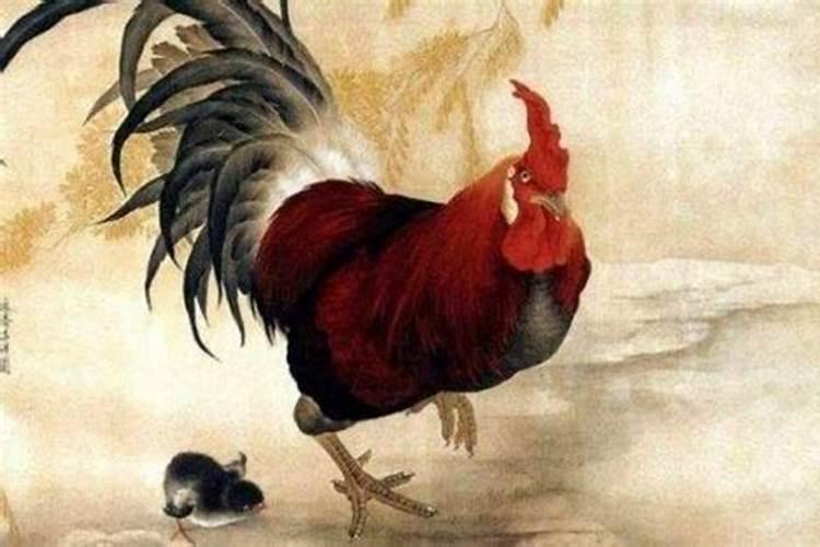 属鸡的六月运势怎么样？