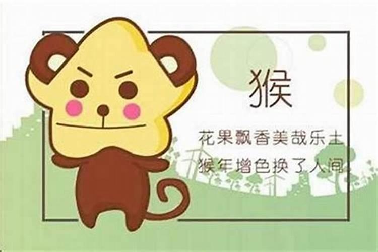 女属为猴男属羊八字合吗？