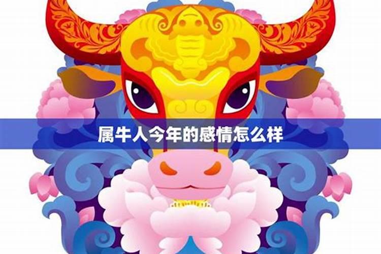 属牛人运势和爱情怎么样？