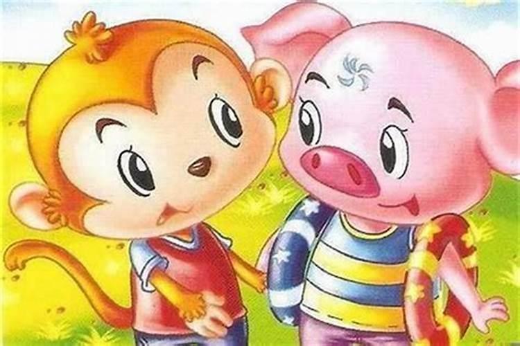 属猴的属猪的合婚吗？