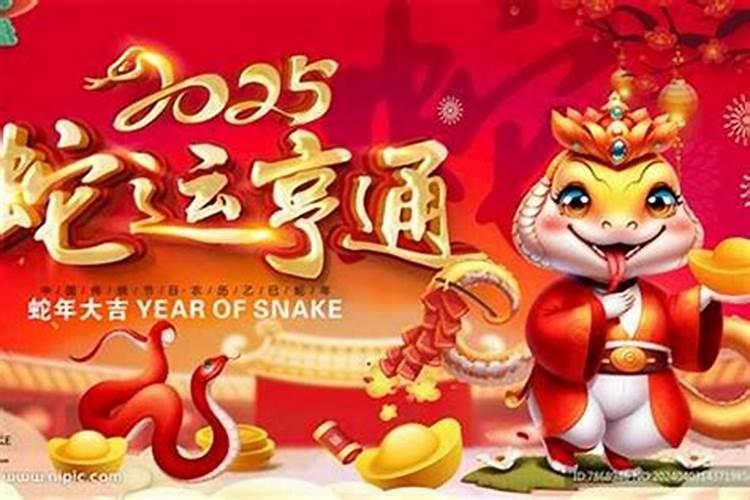 蛇在20l5年运势如何？
