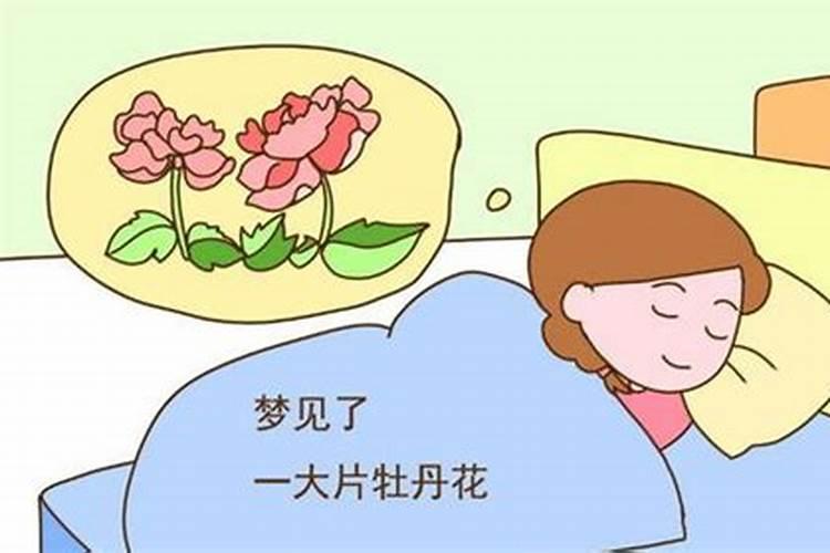 梦到老婆预示什么预兆怀孕？