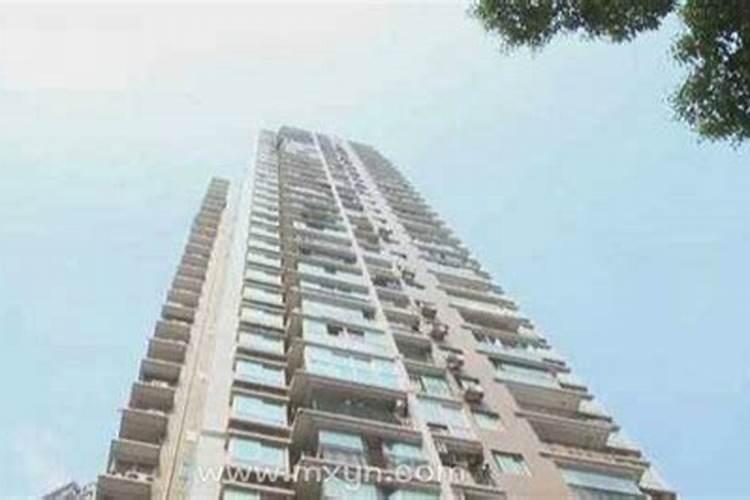 梦见把猫从楼上扔下去