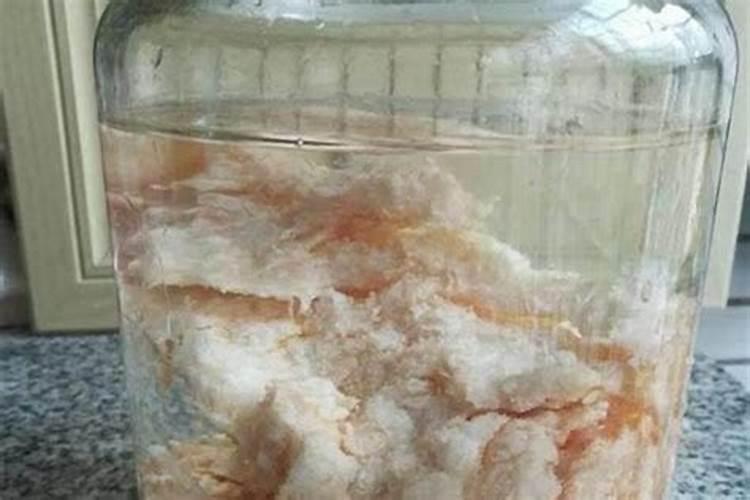 太岁水真的能治病吗？