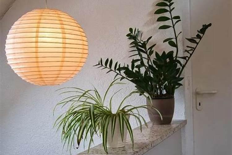 风水上最快聚财的方法怎么做？