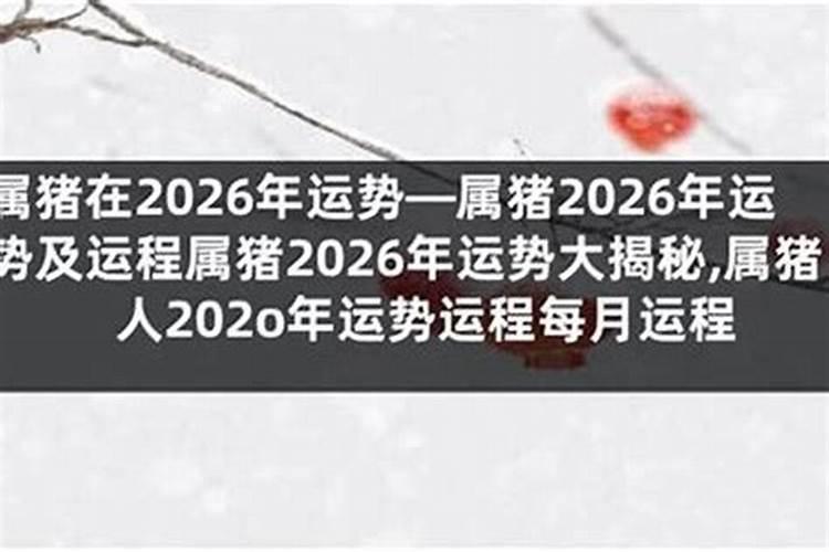 正月出生猪人在2026年运势