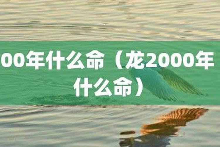 00年什么命？