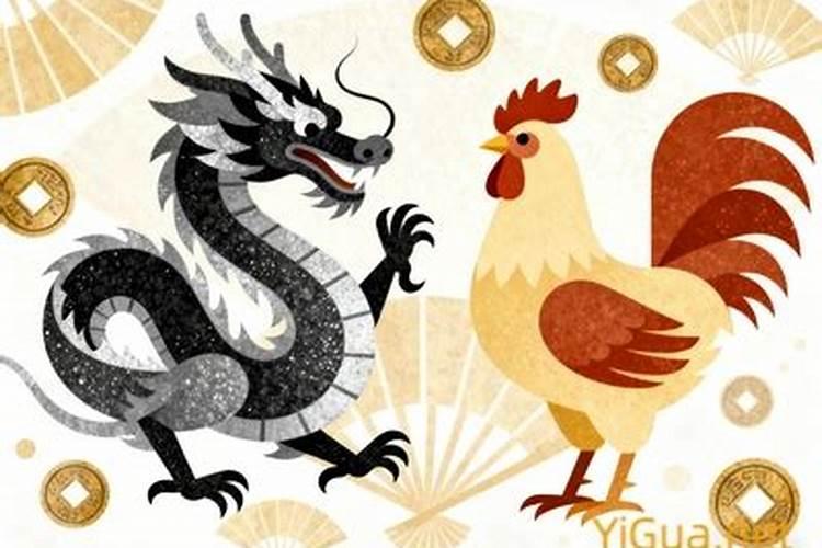属鸡的和龙八字合吗？