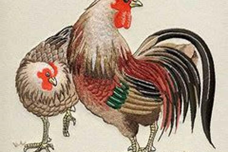 1957年属鸡男人2026年运势