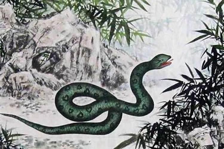 九月初九的蛇命运如何？