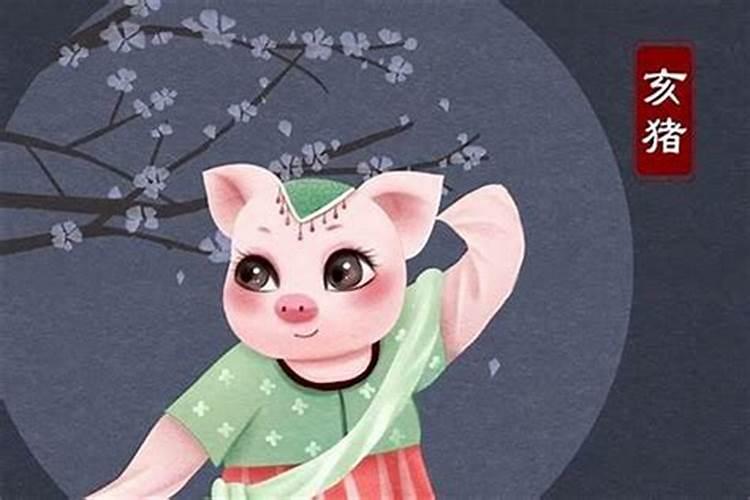 属猪的人怎样提高财运？