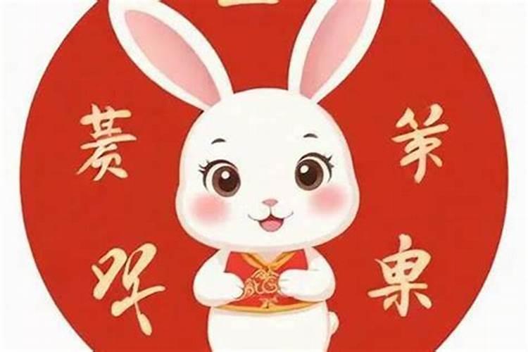 属兔今年11月运程