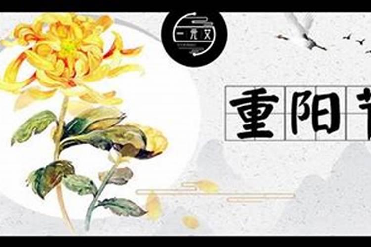 重阳节艾灸哪里最好呢？