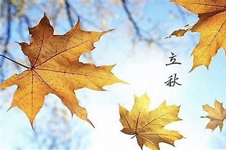 立秋注意什么？