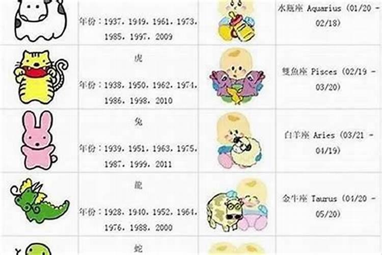 属龙的8年运程如何？
