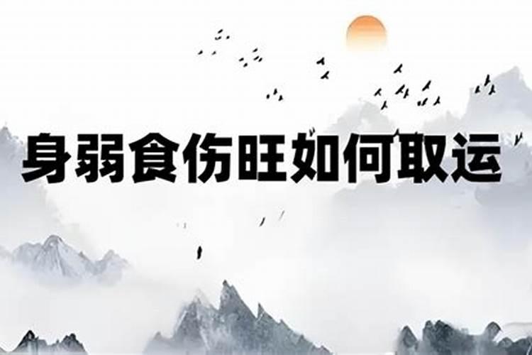 什么八字适合走食伤运？