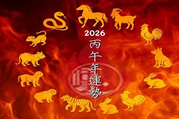 2026年5月6号各生肖运势如何？