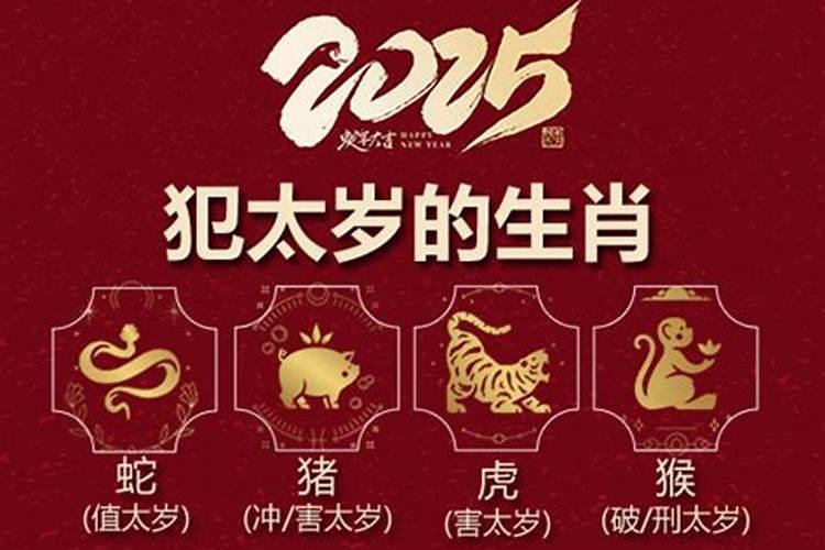 今年蛇虎犯太岁什么意思？