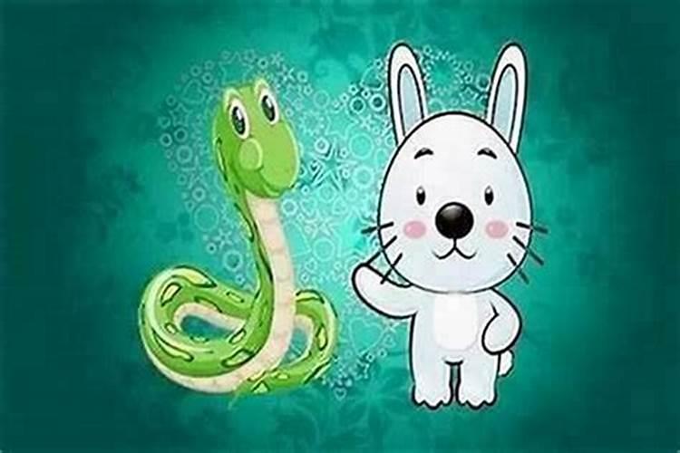 兔男蛇女合婚吗？