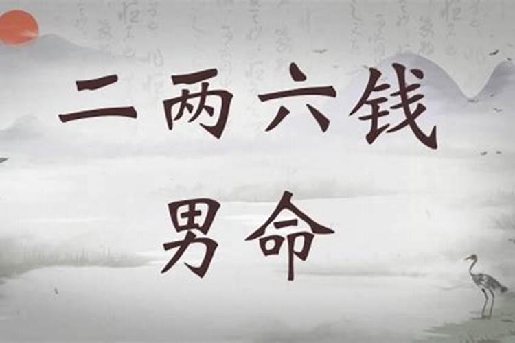 二两六命今年运势