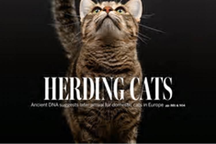 文昌塔最早出现在什么时候？