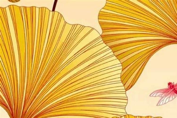 合婚合了4个字是什么婚？