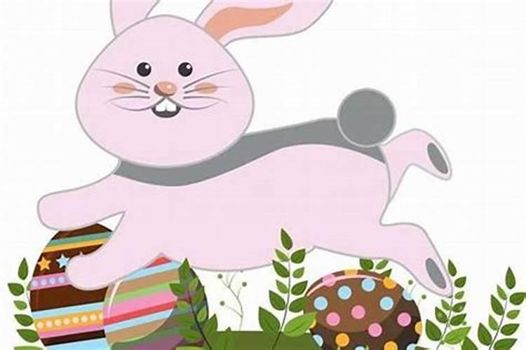 兔子在鸡年运势如何？