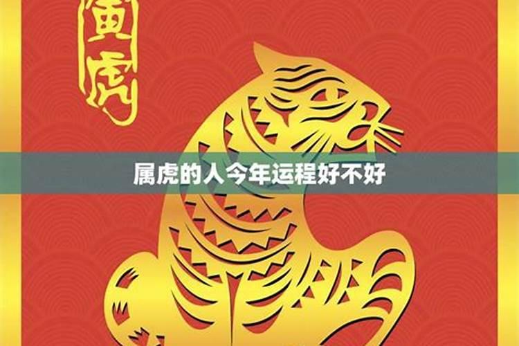 属虎的人明年的运程
