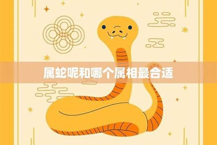 属蛇女不能婚配哪个属相？