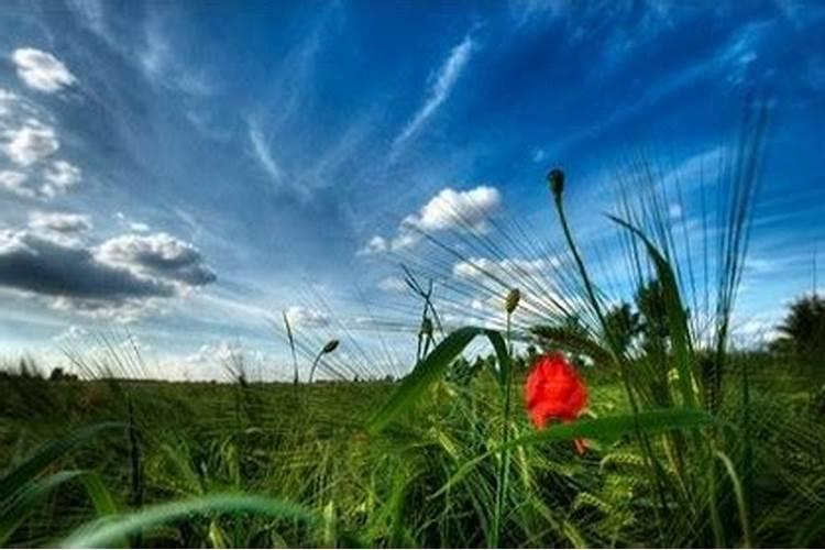 上海哪里有八字算命？