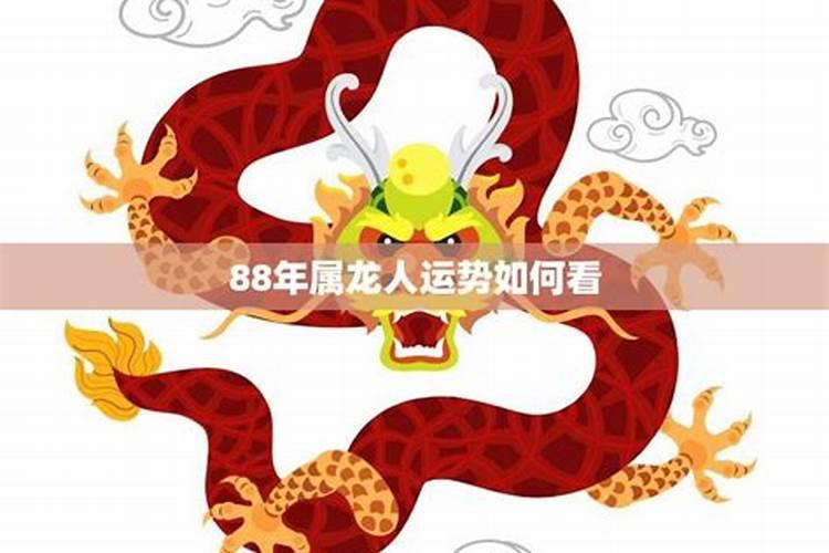 88年属龙后半年的运势