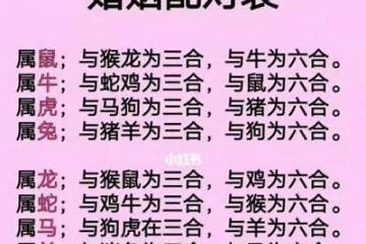 属猪最佳婚配属相