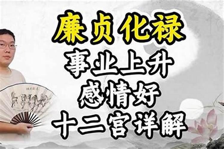 廉贞七杀官禄突破是什么意思？
