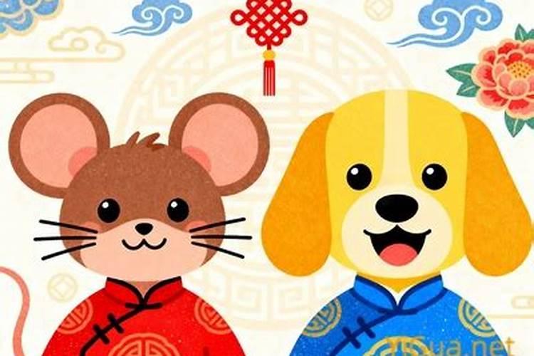 生肖属鼠和属狗的八字合不合