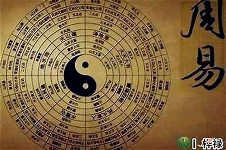 八字命理学哪个专家最准？