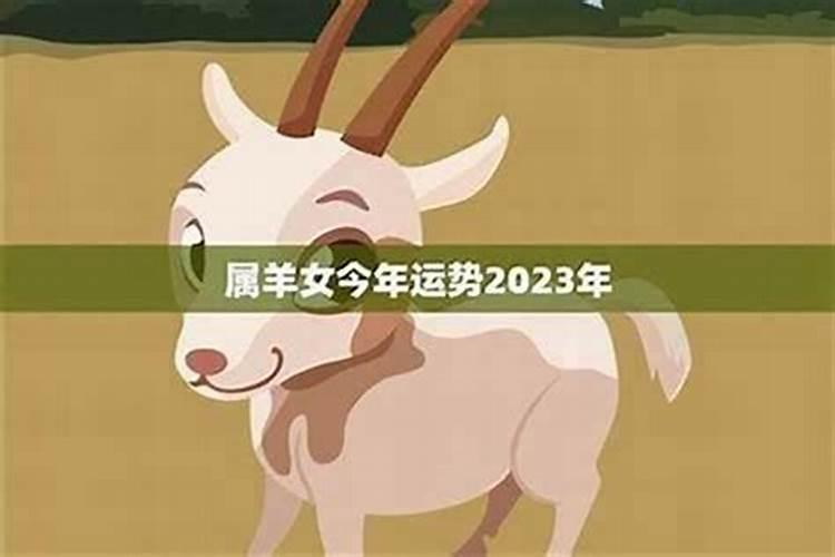 属羊的女孩今年运势