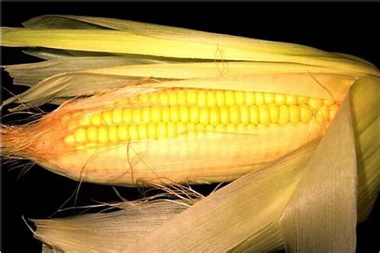 梦到把兄弟的女人睡了